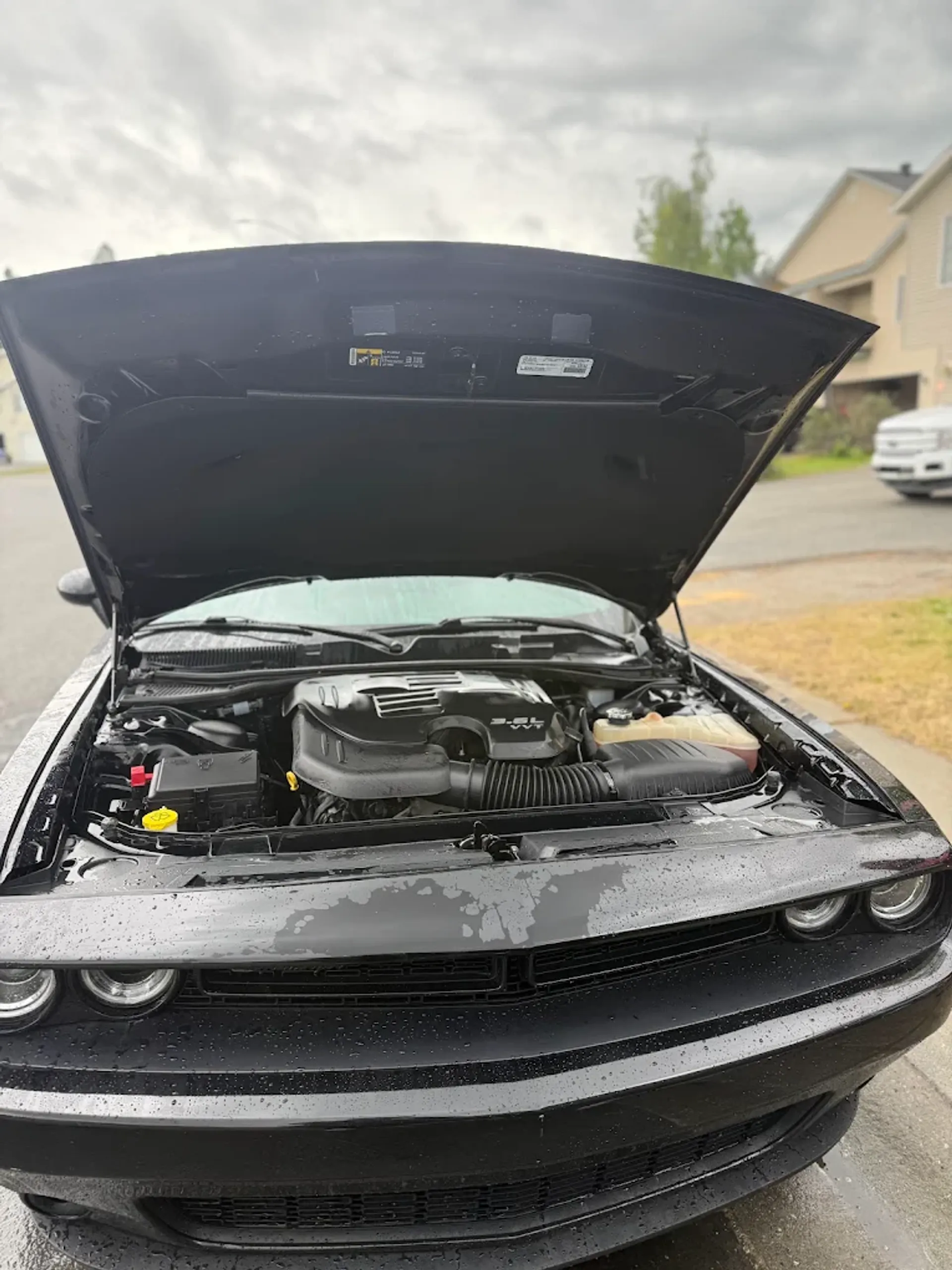 Cleaned and dressed engine bay of a Dodge Challenger