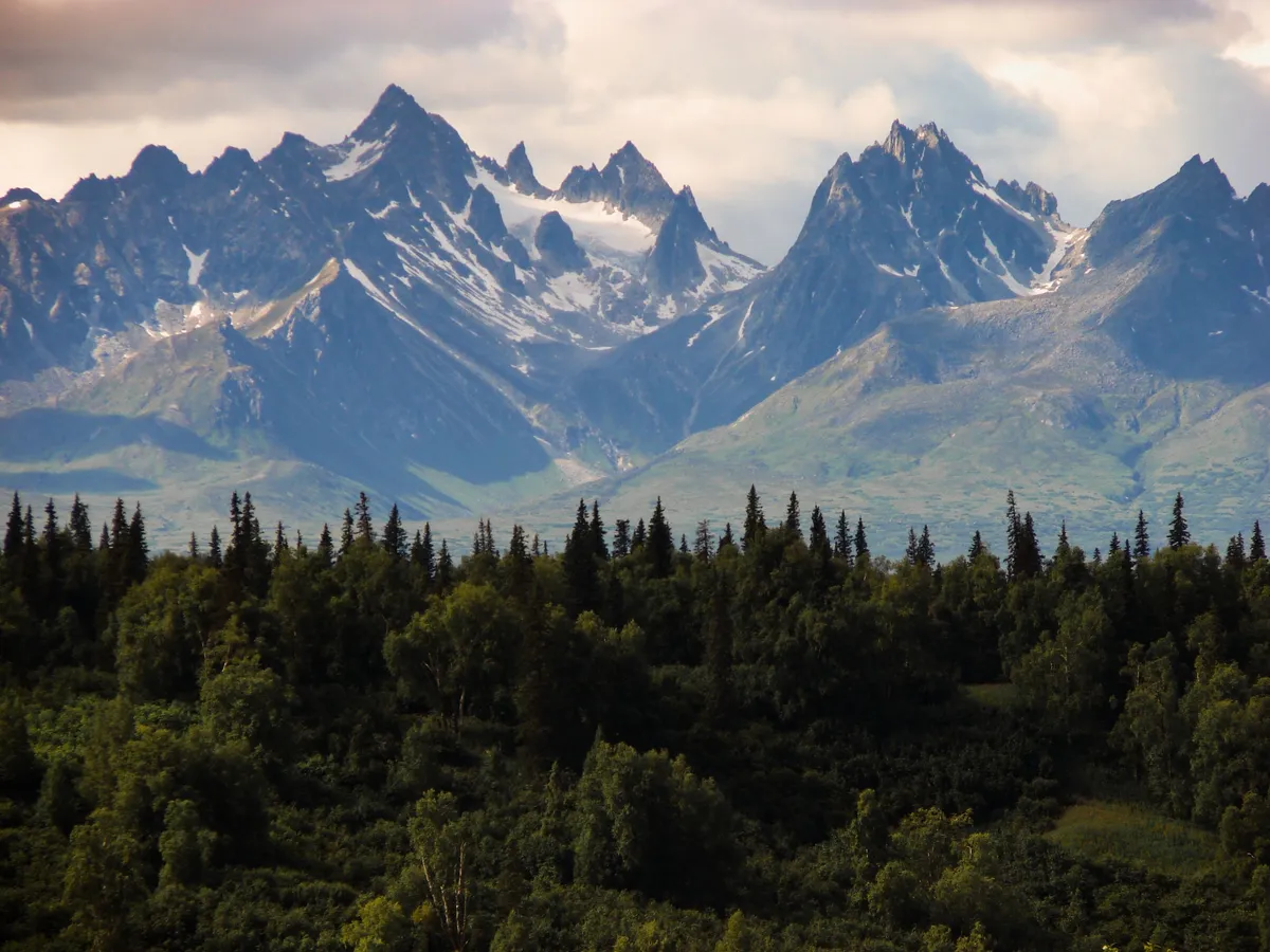 Snow-capped Chugach peaks above the Anchorage tree line