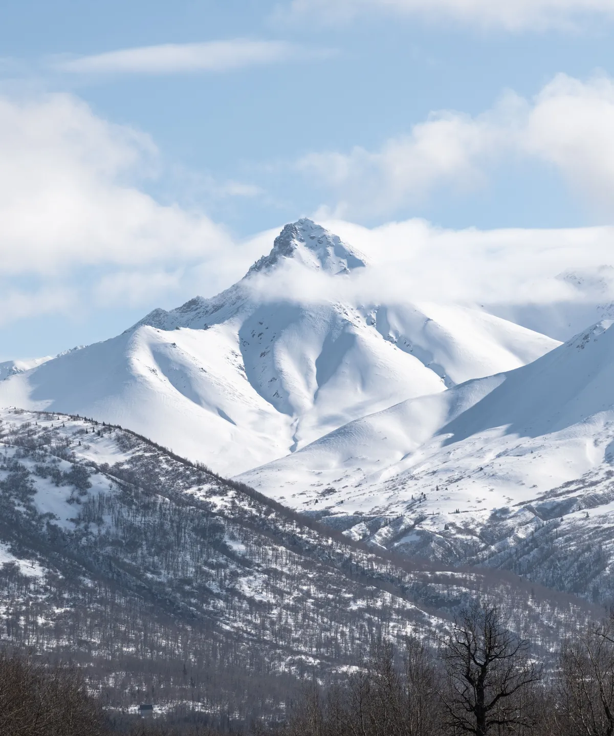 Snow-capped peak above the Matanuska Valley near Palmer